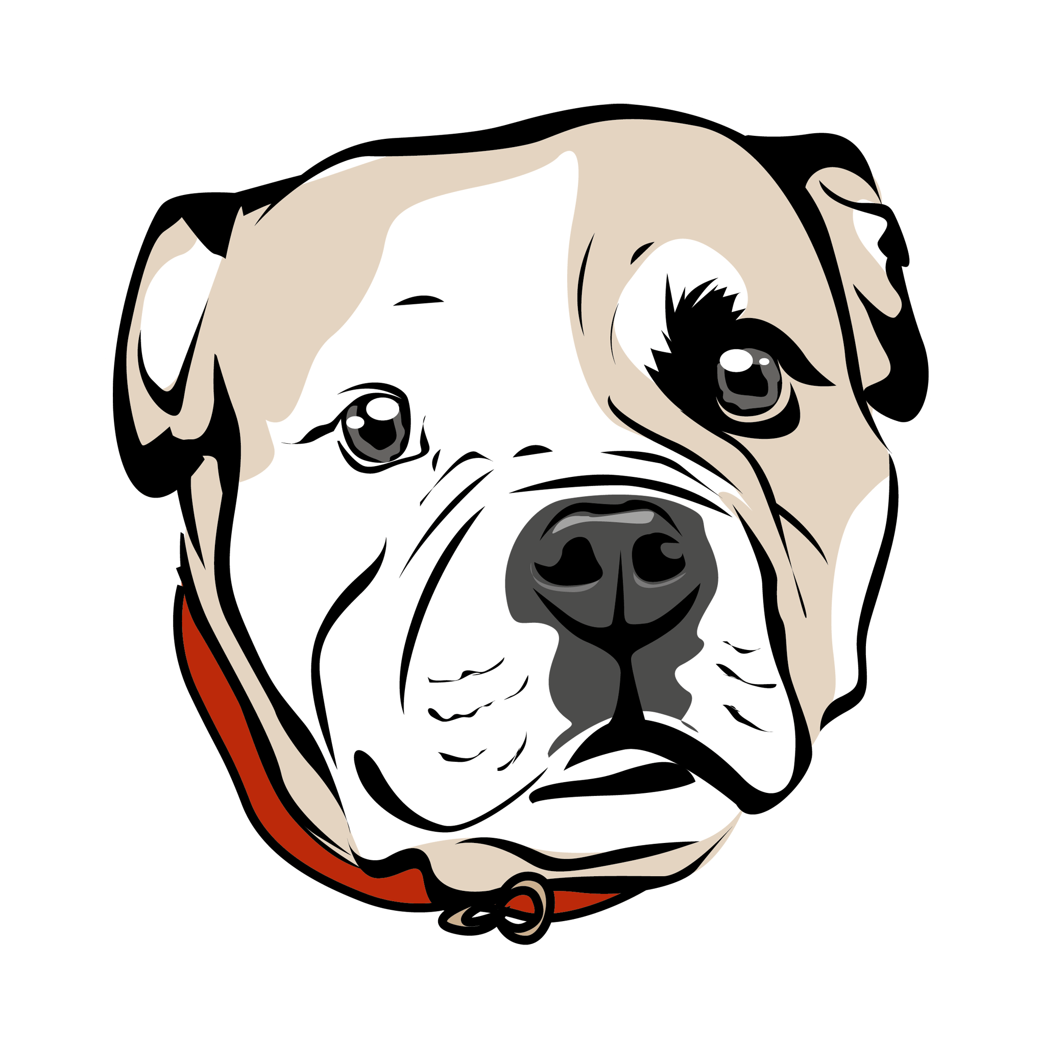 captain_bulldogge